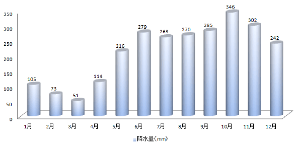 コタキナバルの年間降水量