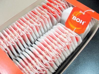 ボーティー(Boh Tea)4