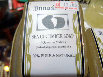 なまこ石鹸(Gamat soap)３
