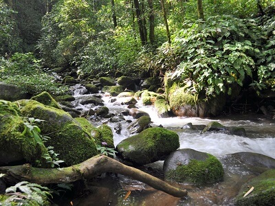 マフアの滝（Mahua Waterfall）