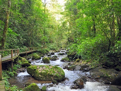 マフアの滝（Mahua Waterfall）