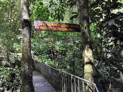 マフアの滝（Mahua Waterfall）