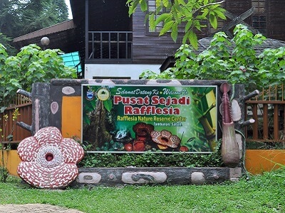 ラフレシアインフォメーションセンター（Rafflesia Information Centre）