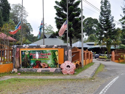 ラフレシアインフォメーションセンター（Rafflesia Information Centre）