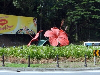 ハイビスカス />
    </p>
    <p>
	コタキナバル市街地の北側にあるジェッセルトンポイント近くのラウンドアバウトにはマレーシアの国花のハイビスカスの花のオブジェ。
	</p>
	<br class=